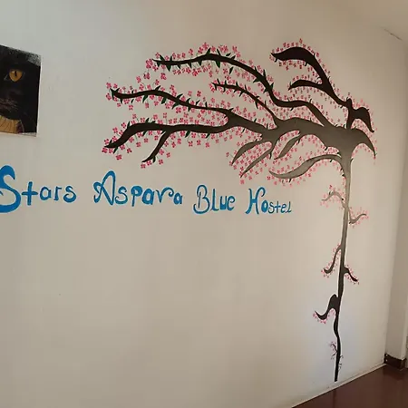 Stars Aspava Blue